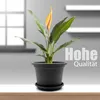 BigDean 4 Stück Blumentopf mit Untersetzer rund ø 35 cm Produktbild-Vorschau 2