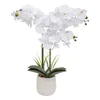 Atmosphera Kunstliche Pflanze Orchidee - weise Bluten - im Produktbild-Vorschau 1