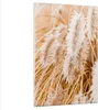 Bilder auf glas - Einteilig - Gras Boho Licht - 80x120cm - Produktbild-Vorschau 1