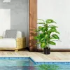 HOMCOM Künstliche Dieffenbachie groß 95 cm Kunstpflanze wie Produktbild-Vorschau 4