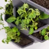 Gusta Garden PAUL POTATO selbstbewässernder Pflanzkübel 4 Produktbild-Vorschau 5