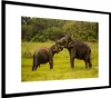 MuchoWow® MuchoWow® Gerahmtes Poster Elefant - Gras - Tiere Produktbild-Vorschau 7