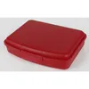 Frosty Lunchbox 17 x 13 x 4cm farbig sortiert Produktbild-Vorschau 4