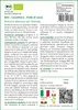 SAFLAX  -- Cavolfiore - Palla di neve - 70 semi - Brassica Anteprima dell’immagine prodotto 3