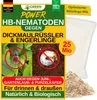 POWER HB-Nematoden gegen Dickmaulrüssler & Engerlinge,25 Produktbild-Vorschau 1
