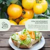 Tomatensamen (Golden Queen, 10 Korn) - Tomaten Saatgut aus Produktbild-Vorschau 3