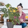Relaxdays Tonspitzen Bewässerung, 4er Set, für Wein- & Produktbild-Vorschau 3