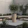 HowHomely | Blumentopf - Übertopf - beige - 36 x 20 cm - Produktbild-Vorschau 11