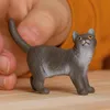 Schleich Farm World Britische Kurzhaar Katze   13973 Produktbild-Vorschau 5