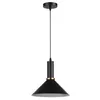 A black pendant light with a conical shade and a gold accent ring, suspended from a black cord and ceiling mount. Produktbild-Vorschau