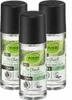 3 x  alverde MEN - Deo Roll-On Deodorant Active Nature (3 x Produktbild-Vorschau 1