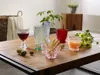 Villeroy & Boch Boston čirá sklenice na červené víno o Náhled obrázku produktu 7