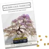 Exotische Bonsai Samen mit hoher Keimrate - Pflanzen Samen Produktbild-Vorschau 1