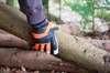 Kettensägen-Handschuhe Keron Forester, Forsthandschuh, Produktbild-Vorschau 7