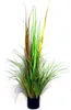 Dekogras Ziergras grün im Topf 123cm Dekopflanze Wildgras Gräser Gras Produktbild-Vorschau