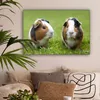 MuchoWow® - Leinwandbilder - Zwei Meerschweinchen, Produktbild-Vorschau 2