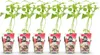 GreenboutiQ - Obstpflanzen - Himbeere - Rubus idaeus Ottawa Produktbild-Vorschau 1