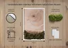 Moosbild mit Echtem Isländisch Moos - 40x60 cm - Weißer Produktbild-Vorschau 8