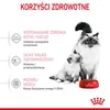 Royal Canin Mother & Babycat 34 Trockenfutter für Katzen 0 Produktbild-Vorschau 15