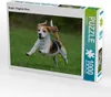 CALVENDO Puzzle Beagle - Fliegende Ohren | 1000 Teile Produktbild-Vorschau 1