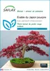 SAFLAX  - Erable du Japon pourpre - 20 graines - Acer Voir les images du produit 1