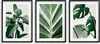 Poster pour le mur Décorations murales Feuilles vertes Voir les images du produit 1