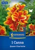 Kiepenkerl Blumenrohr Queen Charlotte Canna x Hybrida 1 Produktbild-Vorschau 1