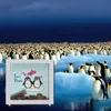 Pinguin Love Bank Rahmen Spardose aus Holz Produktbild-Vorschau 5