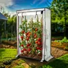 A small greenhouse with tomato plants inside, set in a garden. Produktbild-Vorschau