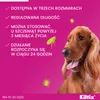 Bayer Kiltix Obroża Na Kleszcze I Pchły Dla Psa 53cm Podgląd zdjęcia produktu 6