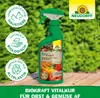 Neudorff BioKraft Vitalkur AF für Buxus & Ilex 500ml Produktbild-Vorschau 4