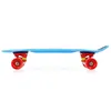 Nils Extreme - "Crude" Skateboard, Drachen-Design PP8130 Produktbild-Vorschau 27
