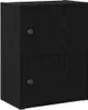 A black wooden cabinet with two doors and two handles, shown from a three-quarter angle. Náhled obrázku produktu
