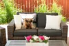 MuchoWow® Outdoor Kissen - Schottisches Hochlandrind - Kuh Produktbild-Vorschau 5