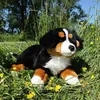 RAPPA Duży pluszowy berneński pies pasterski leżący 61 cm Podgląd zdjęcia produktu 5