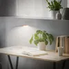 A desk with a lamp, plants, books, and a cup, illuminated by the lamp. Náhľad obrázku produktu