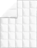 vidaXL Winter-Daunendecke 2 Stk. 150x200 cm Produktbild-Vorschau 1