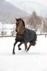 A horse wearing a black blanket with gold trim runs through the snow in a mountainous area. Produktbild-Vorschau