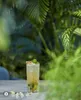 A tall glass of a refreshing drink with mint and lime, placed on a table with small white flowers, surrounded by lush green foliage. Anteprima dell’immagine prodotto