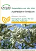 Artikelbild 1 von 'Australischer Teebaum' aus der Kategorie Exotische Samen Podgląd zdjęcia produktu