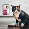 Tropi Wołowina W Sosie Mokra Karma Dla Kota Z Wołowiną Dla Podgląd zdjęcia produktu 7