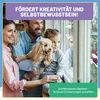 LM-Kreativ Window Color Set Kleine Entdecker – 15 Farben à Produktbild-Vorschau 7