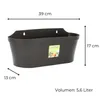 A dark gray wall planter with dimensions indicated by measurement lines and text. Produktbild-Vorschau