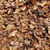 Culvita | 70L Kakaoschalen | Bodendecker | Garten & Beete | Produktbild-Vorschau 3
