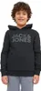 Jack & Jones Junior Hoodie CORP LOGO Kapuzensweatshirt Produktbild-Vorschau 17