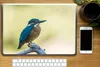 MuchoWow® Laptop Aufkleber Sticker Cover Eisvogel - Zweig - Produktbild-Vorschau 2