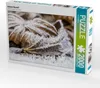CALVENDO Puzzle Unterm Raureif 2000 Teile Puzzle quer | Produktbild-Vorschau 2