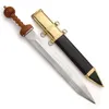 Historische Wohnraum Dekoschwert Roemischer Gladius Pompeji Produktbild-Vorschau 1