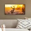MuchoWow® - Leinwandbilder - Hirsche - Tiere - Produktbild-Vorschau 5