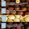 Landgarten Vegan Christmas kalendarz adwentowy 2026, 24 bio Podgląd zdjęcia produktu 2